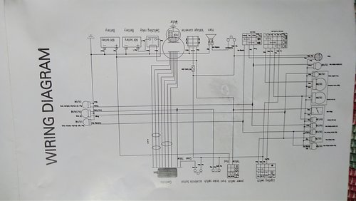 schallan nva ms.jpg