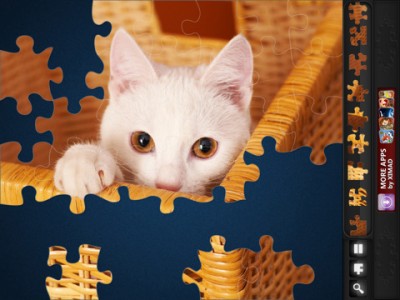 Puzzle cat.jpg