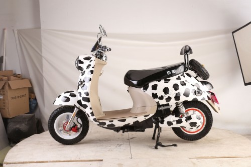 ebike_bob_1 (21).JPG