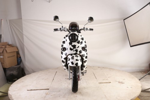 ebike_bob_1 (23).JPG