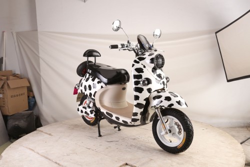 ebike_bob_1 (24).JPG