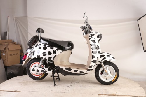 ebike_bob_1 (25).JPG