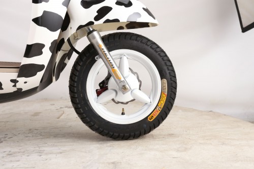 ebike_bob_1 (26).JPG