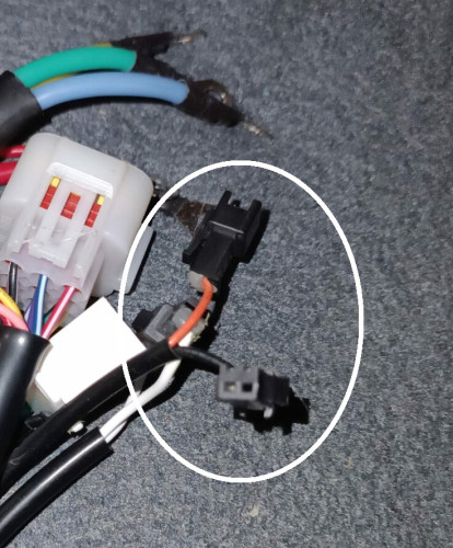 stecker.jpg