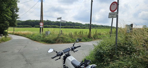 ehrenberg1.jpg