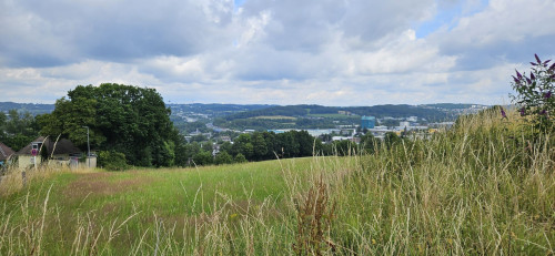 ehrenberg3.jpg