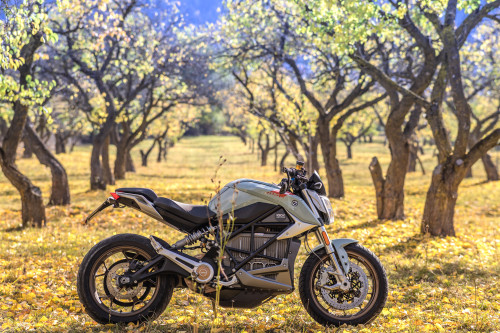 MotorProsa-SRF-1-5.jpg