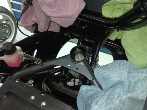 IMG_20251021_174727_1 (1).jpg