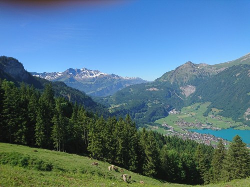 DSC_0252.JPG